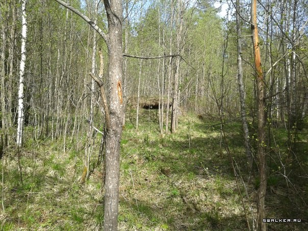 ВЧ 96401 Вилга ВЧ 96401 Вилга