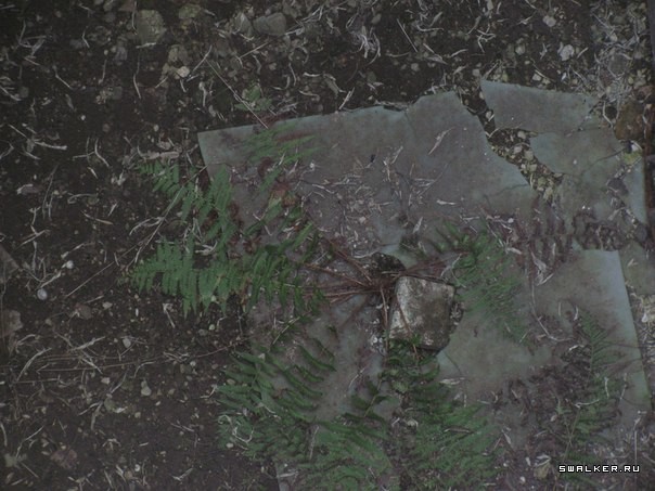 Сакский Химический Завод Сакский Химический Завод