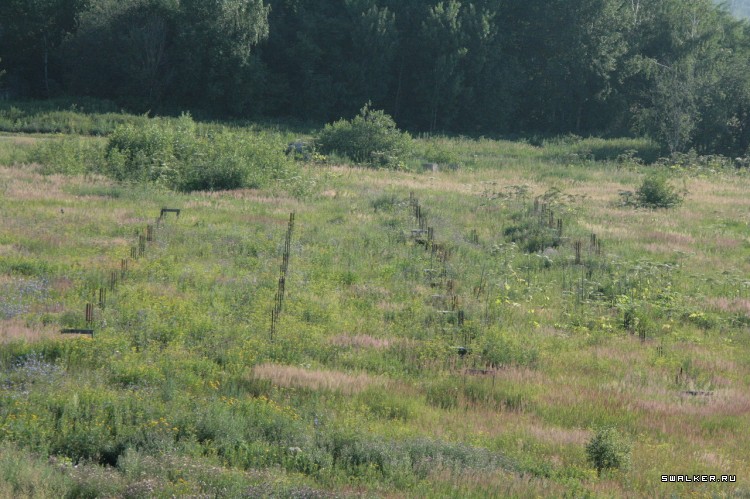 Троицкие очистные сооружения Троицкие очистные сооружения