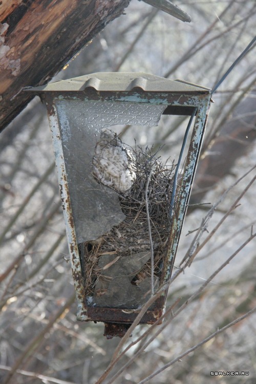 Турбаза Подольск Кабель, Московская область