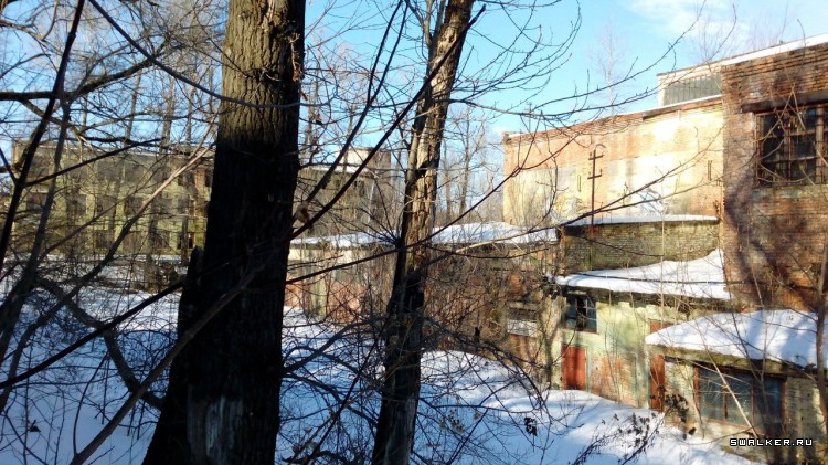 Завод «Дальдизель»