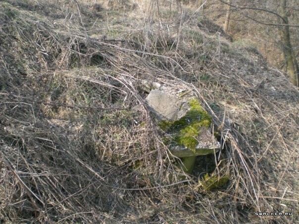 Совхоз Пригородный Совхоз Пригородный