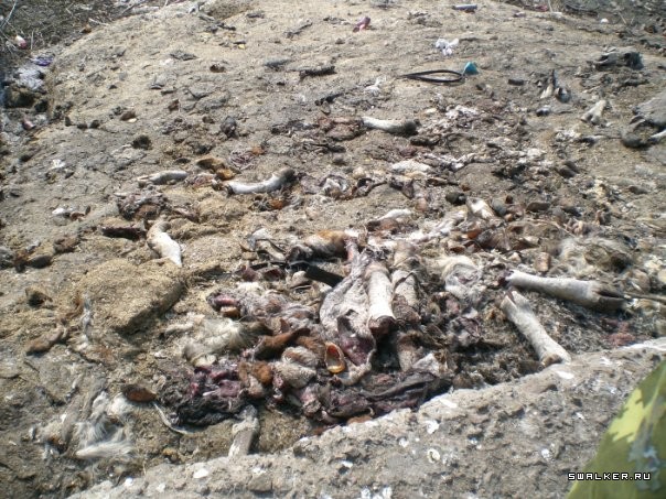 Совхоз Пригородный Совхоз Пригородный