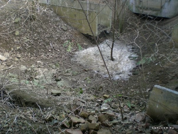 Совхоз Пригородный Совхоз Пригородный