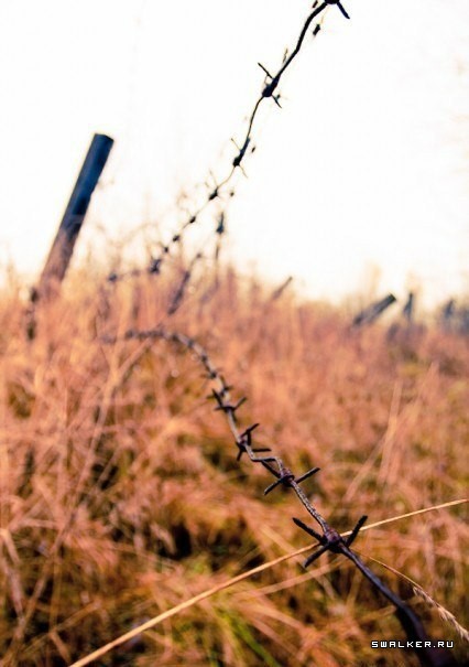 ЗРК С-200 (SA-5 Gammon)