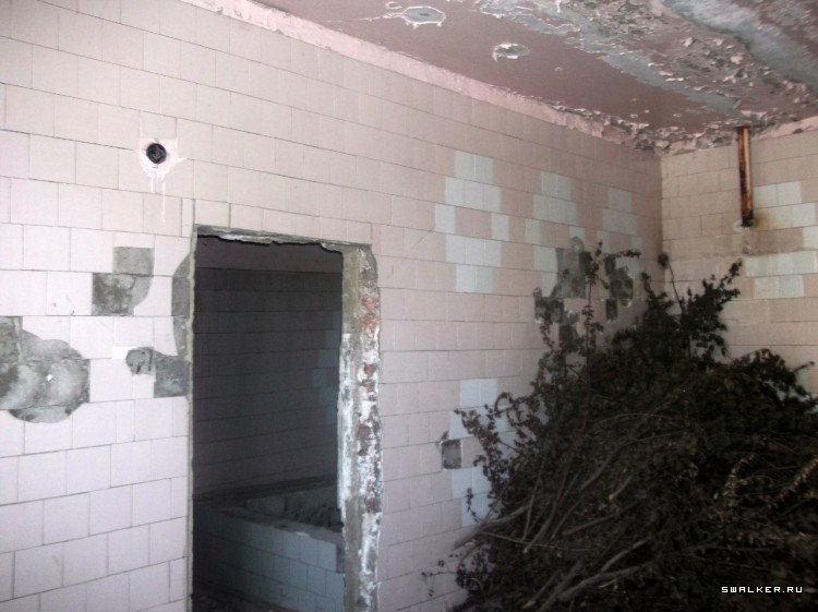 Фалештский машинный завод Фалештский машинный завод