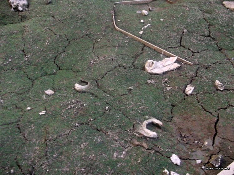 Фалештский машинный завод Фалештский машинный завод