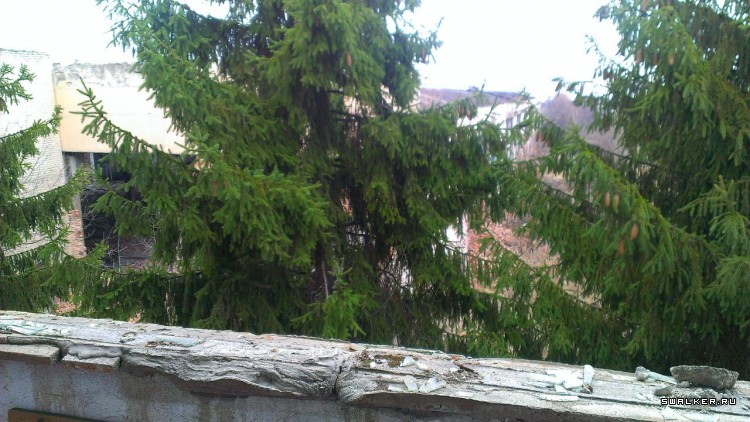 Завод Янтарь