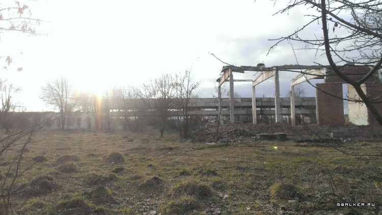 Завод Янтарь