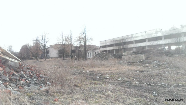 Завод Янтарь