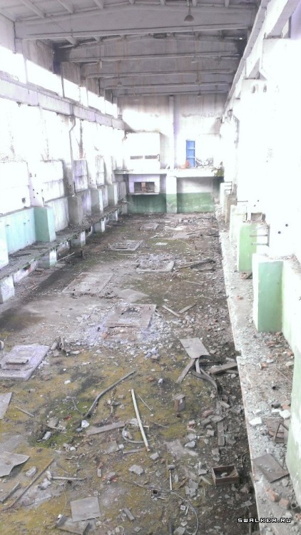 Завод Янтарь