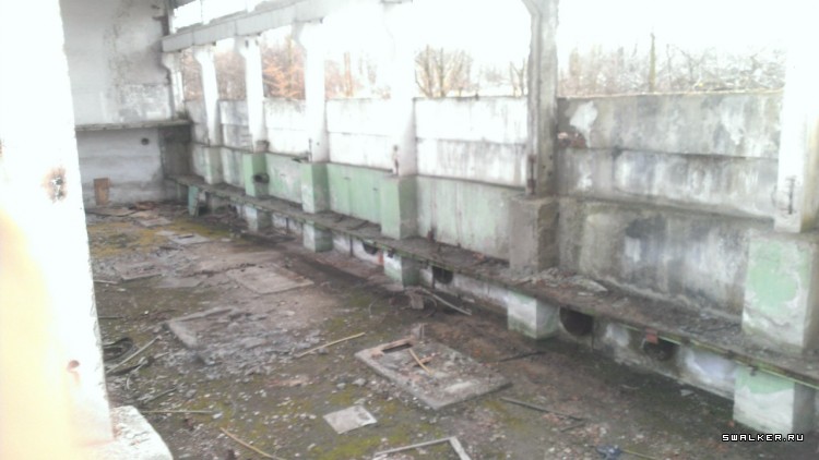 Завод Янтарь