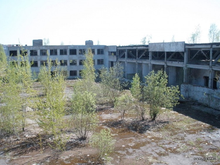 Камвольный комбинат