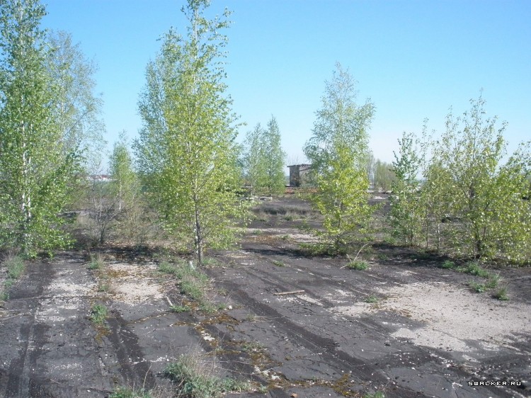 Камвольный комбинат