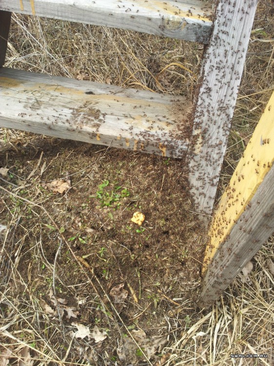 2022-й центральный склад вооружения и средств РХБЗ 2022-й центральный склад вооружения и средств РХБЗ