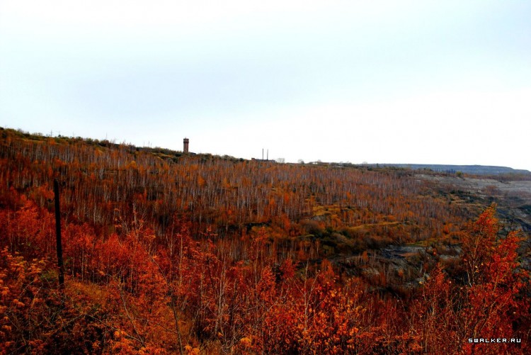 Коркинский разрез Коркинский разрез