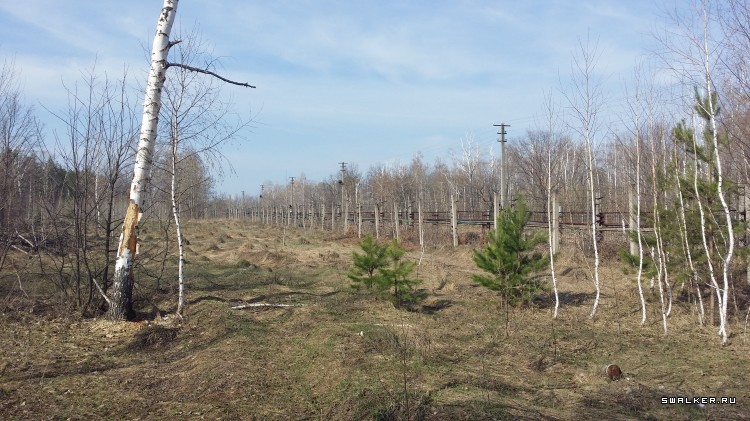 ФГУП «31 Арсенал Министерства Обороны РФ» ФГУП «31 Арсенал Министерства Обороны РФ»