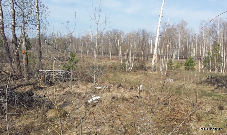 ФГУП «31 Арсенал Министерства Обороны РФ» ФГУП «31 Арсенал Министерства Обороны РФ»