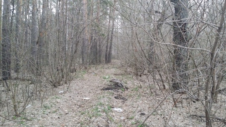 ФГУП «31 Арсенал Министерства Обороны РФ» ФГУП «31 Арсенал Министерства Обороны РФ»