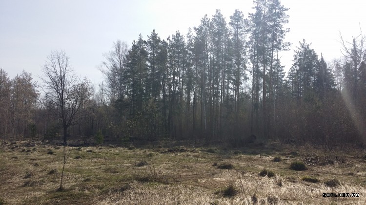 ФГУП «31 Арсенал Министерства Обороны РФ» ФГУП «31 Арсенал Министерства Обороны РФ»