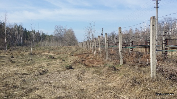 ФГУП «31 Арсенал Министерства Обороны РФ» ФГУП «31 Арсенал Министерства Обороны РФ»