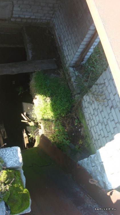 ФГУП "85 ремонтный завод по ремонту тягачей", Брянск