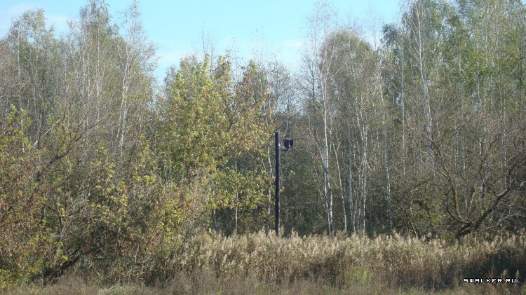 ФГУП "85 ремонтный завод по ремонту тягачей", Брянск