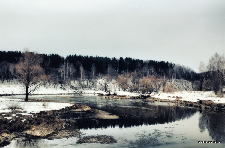 Марфин - Брод, Московская область