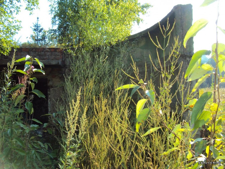 ЗРК С-200 (SA-5 Gammon)