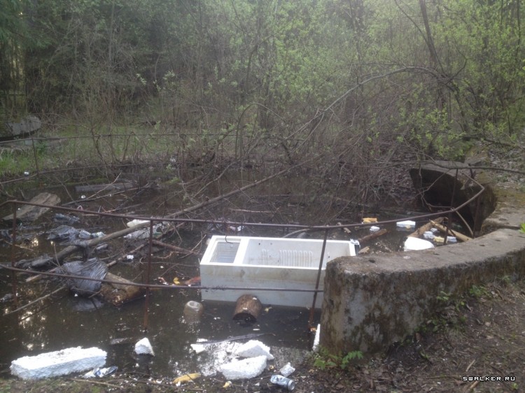 Странный  объект посреди леса Странный  объект посреди леса