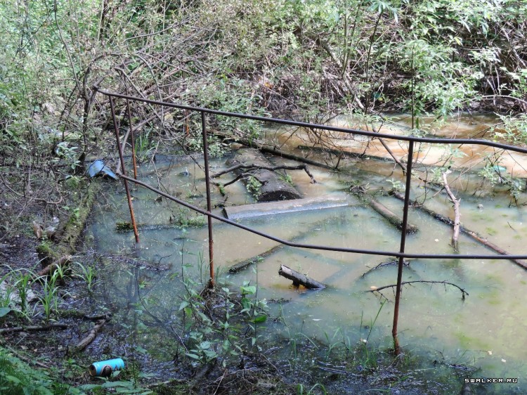 Странный  объект посреди леса Странный  объект посреди леса