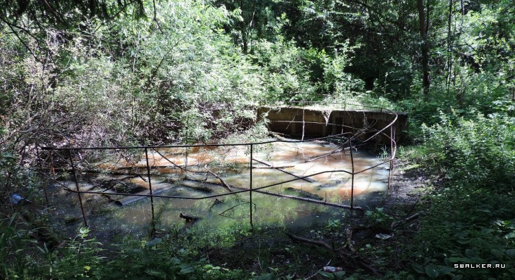 Странный  объект посреди леса Странный  объект посреди леса