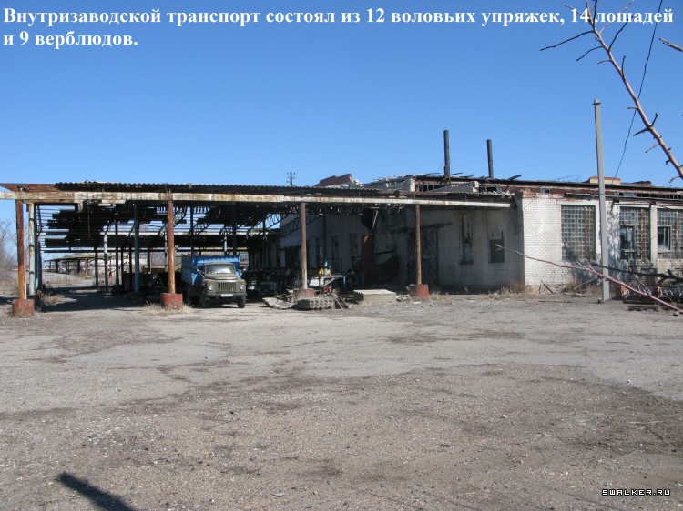 Харабалинский консервный завод, Астраханская область