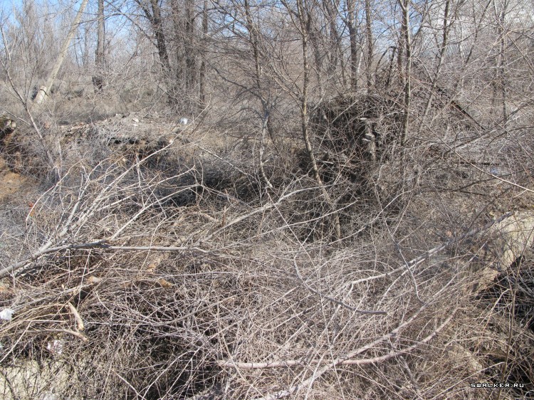 Харабалинский консервный завод, Астраханская область