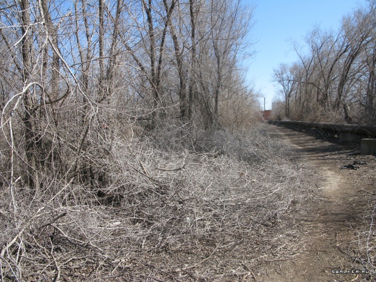 Харабалинский консервный завод, Астраханская область