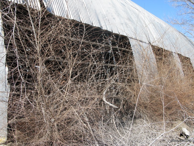 Харабалинский консервный завод, Астраханская область