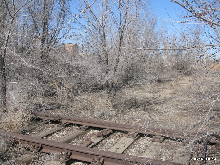Харабалинский консервный завод, Астраханская область