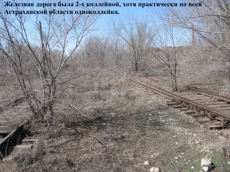 Харабалинский консервный завод, Астраханская область