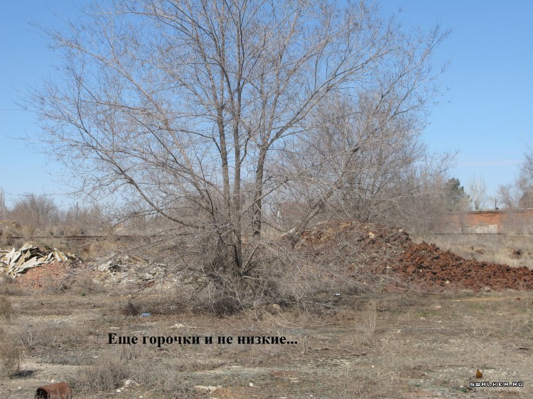 Харабалинский консервный завод, Астраханская область