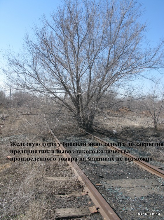 Харабалинский консервный завод, Астраханская область