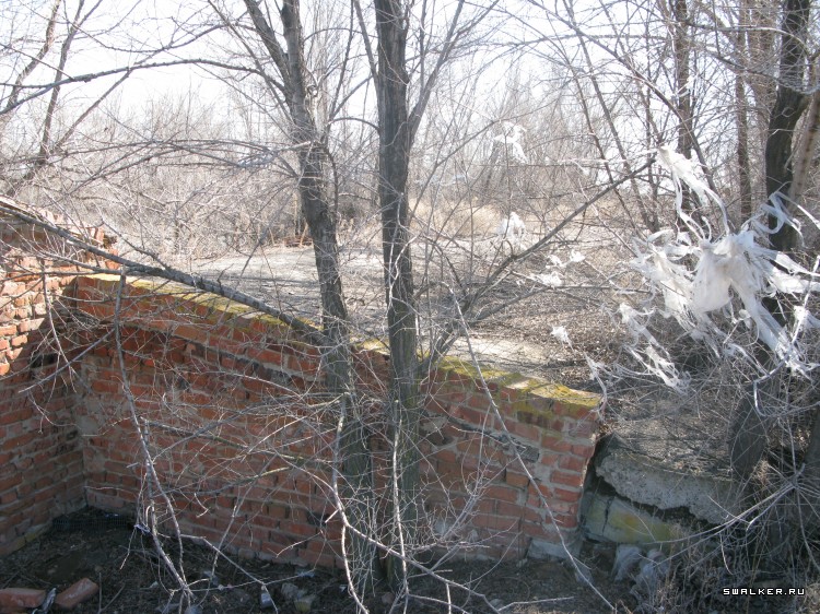 Харабалинский консервный завод, Астраханская область