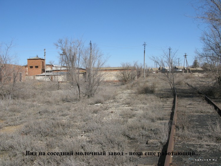 Харабалинский консервный завод, Астраханская область