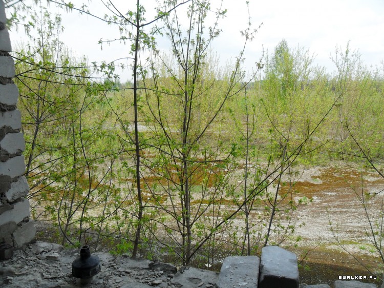 Станция техобслуживания с/х техники в Коренёвщино