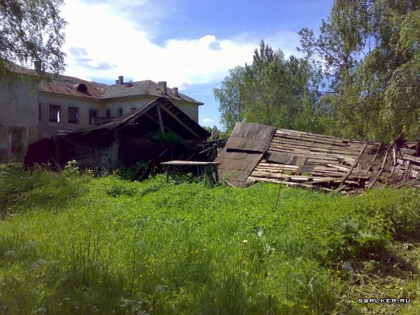 Прогноз погоды назия кировский. Назия — деревня-призрак. Назия Ленинградская область. Жихарево поселок Назия. Деревня Назия Ленинградская область.