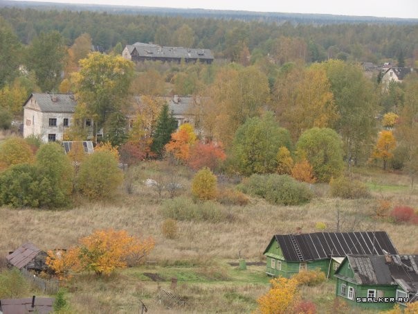 Посёлок Назия