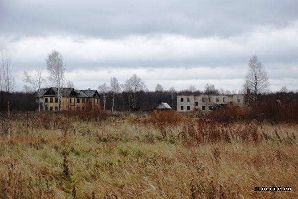 Посёлок Назия