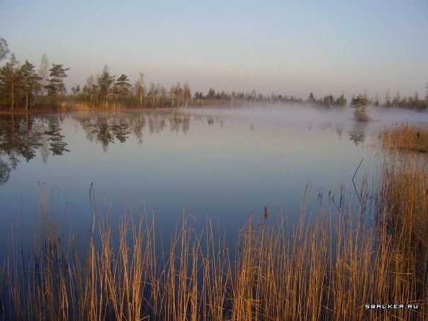 Посёлок Назия