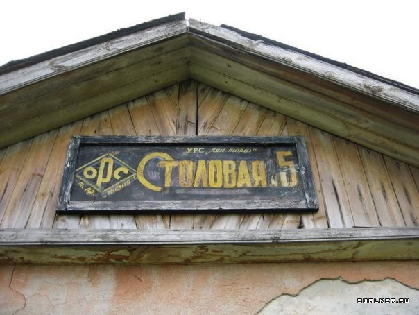 Посёлок Назия