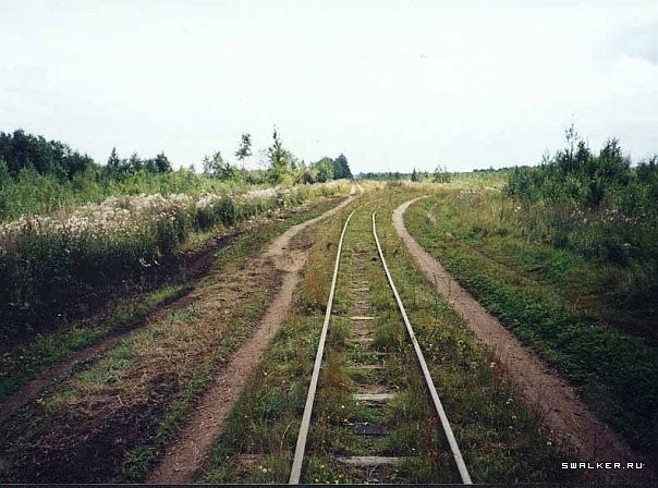 Посёлок Назия