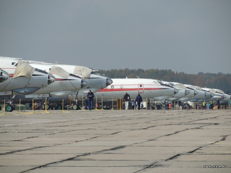 1 Октября 2016, 80 Лет Шаголу